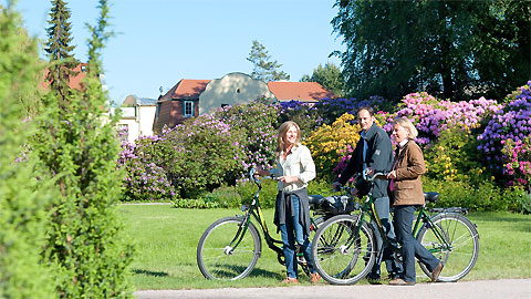 der Ostseeküstenradweg verläuft direkt durch Graal-Müritz