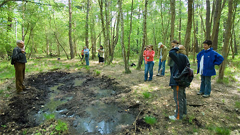 geführte Wanderungen ins Ribnitzer Moor